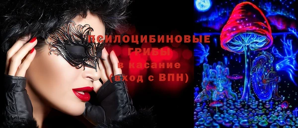 трава Балахна