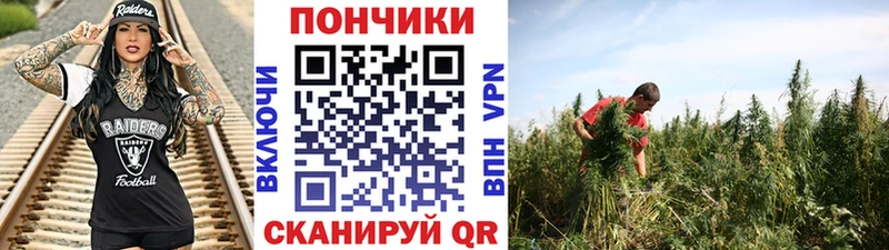 Шишки марихуана марихуана  Пересвет 